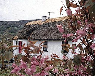 Connemara Country Cottages Glentrasna Dış mekan fotoğraf